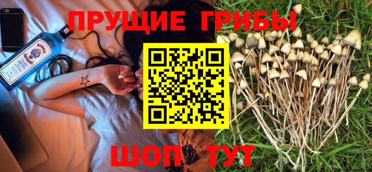 Галлюциногенные грибы ЛСД Горно-Алтайск